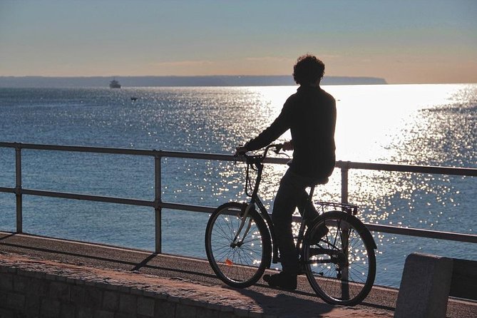 Palma De Mallorca 3-Hour Highlights and Tapas Tasting Bike Tour - Highlights of the Cathedral of Mallorca