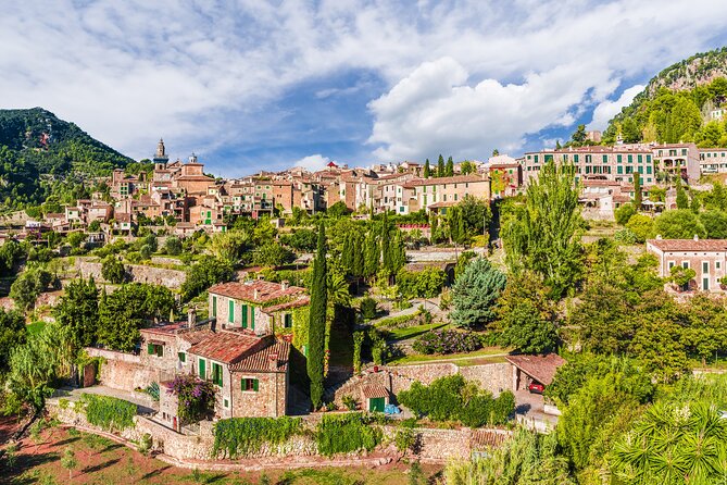 Palma De Mallorca Shore Excursion: Private Tour of Valldemossa, Soller and Serra De Tramuntana - Savoring Seafood Specialties in Port Soller