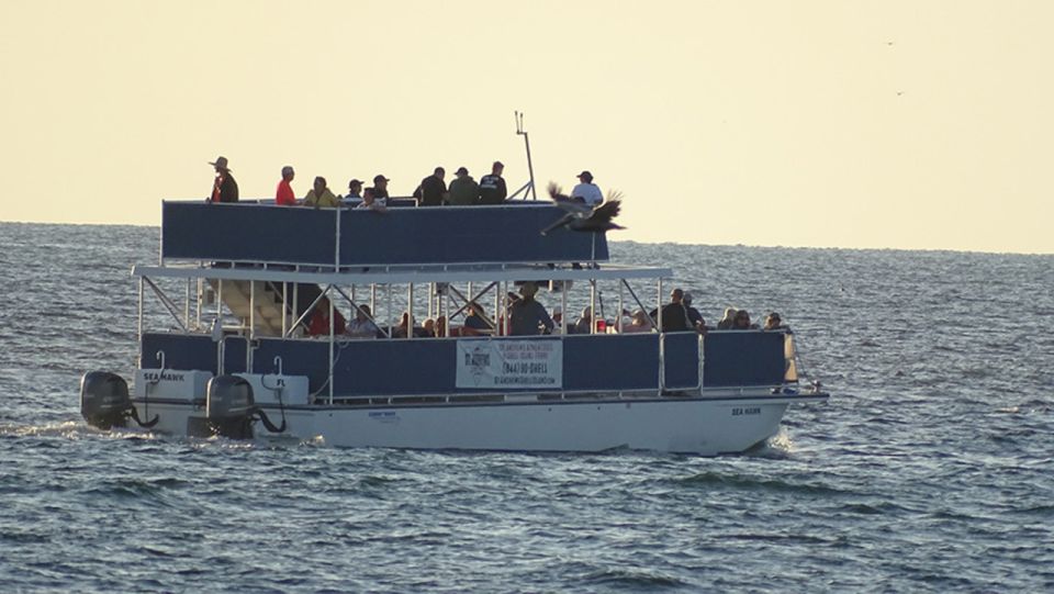 Panama City: Sunset Dolphin Cruise in St. Andrews Bay - Customer Reviews and Ratings