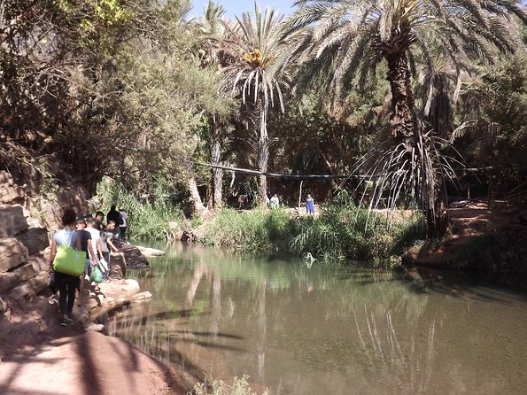 Paradise Valley Half Day From Agadir - Tour Operator Information