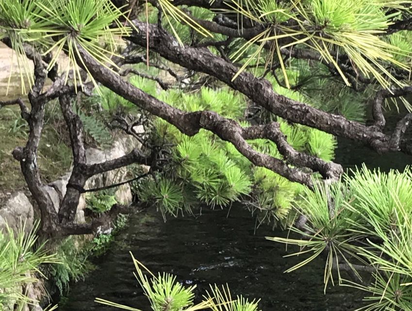 Paris Secret Gardens 1.30 Hour Long Walking Tour - Tour Details