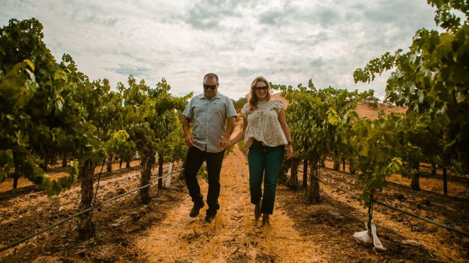 Paso Robles: Sidecar Deluxe Wine Tour With Tastings - Tour Inclusions and Amenities