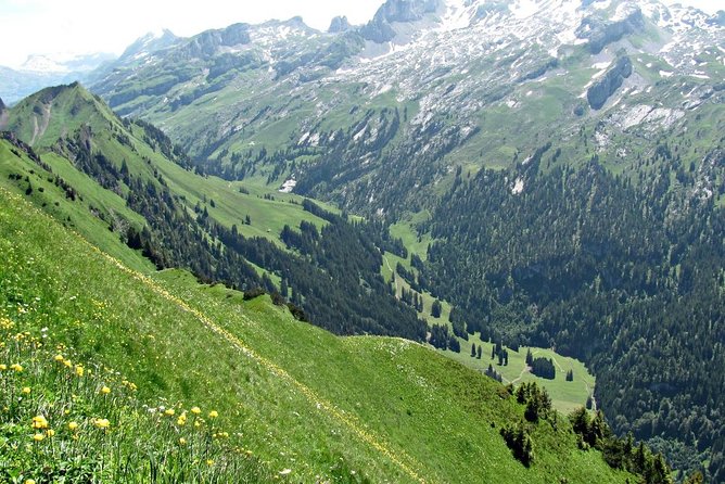 Peak to Peak Private Hiking Tour From Lucerne - Scenic Vistas