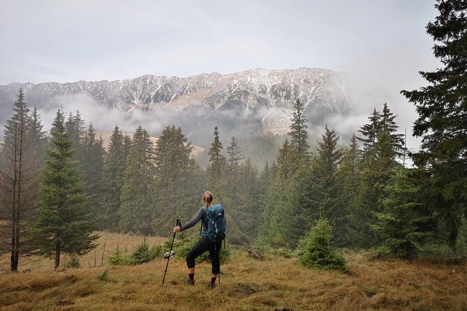 Pestera and Magura Full-Day Private Walking Tour From Brasov - Local Culture