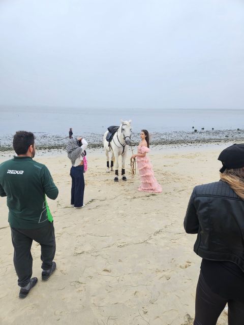 Photo Session With Horses on the Beach or in the Countryside - Highlights of the Horse Rental