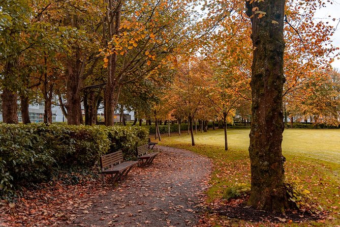 Photography Tour of Galway With an Instagram Influencer - Participation Details