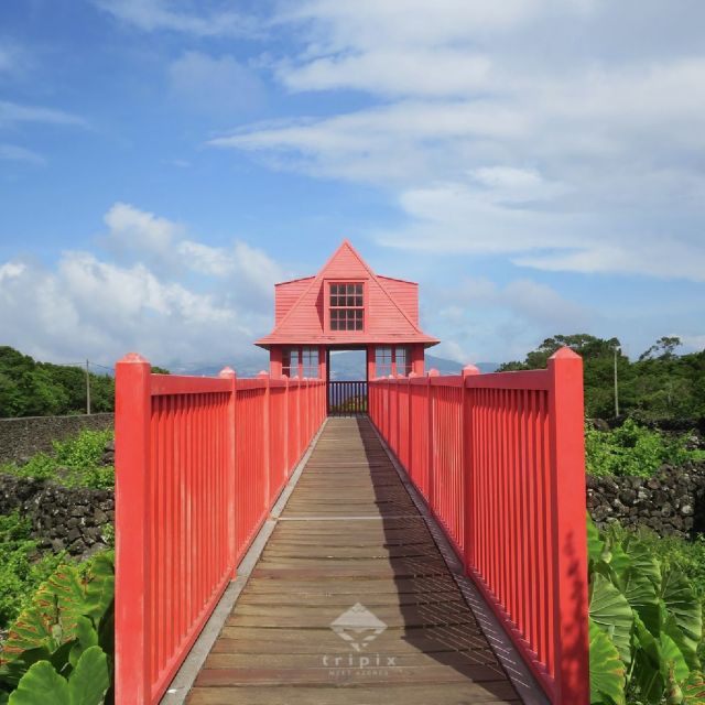 Pico Day Tour: Get to Know Pico Island With a Local Guide - Captains Lagoon Tour