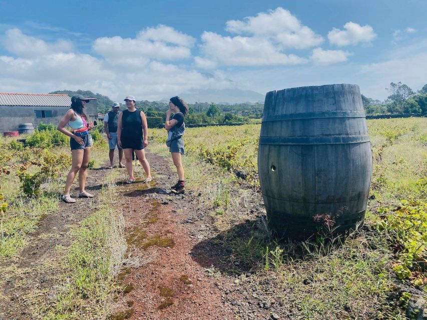 Pico Island: Wine Tasting, Independent Producers & Culture - Swim in Natural Pools