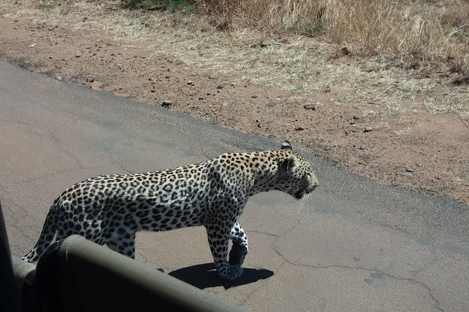 Pilanesberg Game Reserve Guided Day Tour From Johannesburg or Pretoria - Included and Excluded