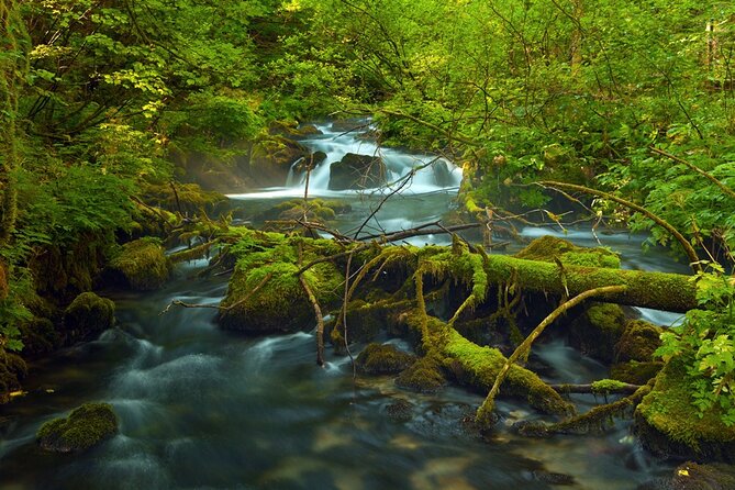 Plitvice Lakes Private Guided Walking Tour - Location and Meeting Point