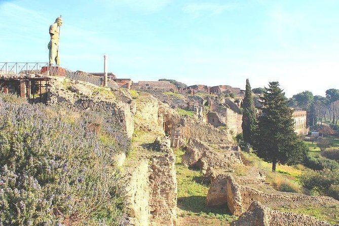 Pompeii and Herculaneum Private Tour With Native Guide and Skip the Line Tickets - Reviews and Ratings