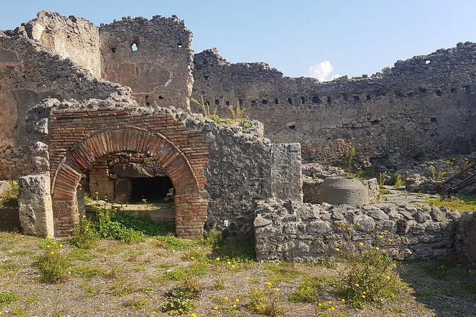 Pompeii Tour With Experienced Guide - Schedule