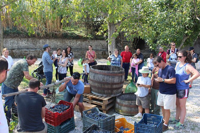 Pompeii Wine Tasting Tour From Positano - Guided Tour of Pompeii Ruins