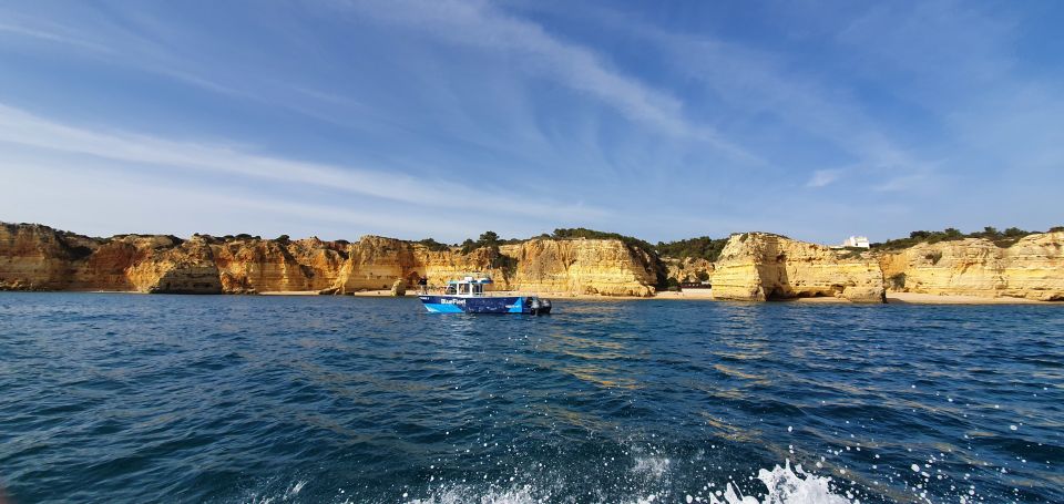 Ponta Da Piedade: Half-Day Cruise With Lunch From Lagos - Important Information