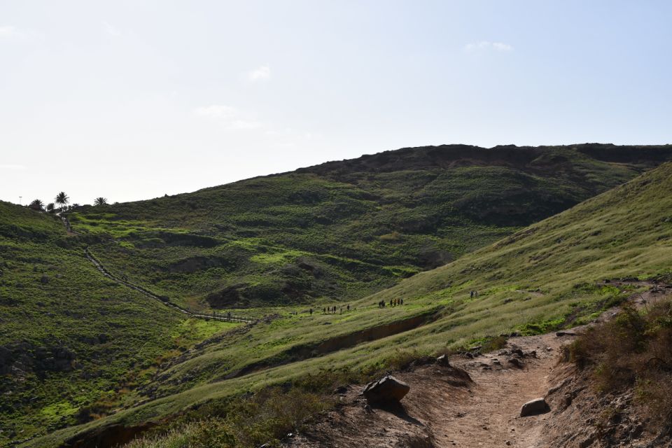 Ponta De São Lourenço-Hike by Overland Madeira - Flora and Fauna Highlights