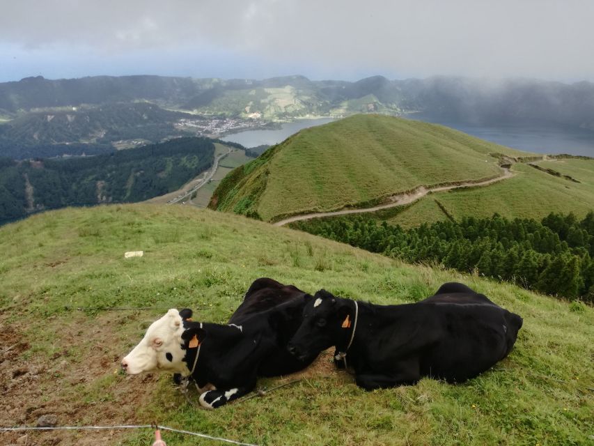 Ponta Delgada: Full-Day Sete Cidades 4X4 Tour With Lunch - Panoramic Crater Views