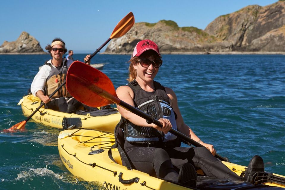 Port Orford: Kayak Tour to Orford Heads With Gear - Wildlife and Intertidal Life Observation