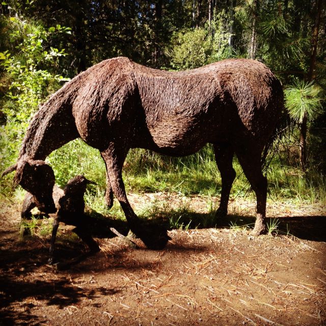 Portland: 3-Day Tour to Crater Lake With Wine Tasting - High Desert Museum