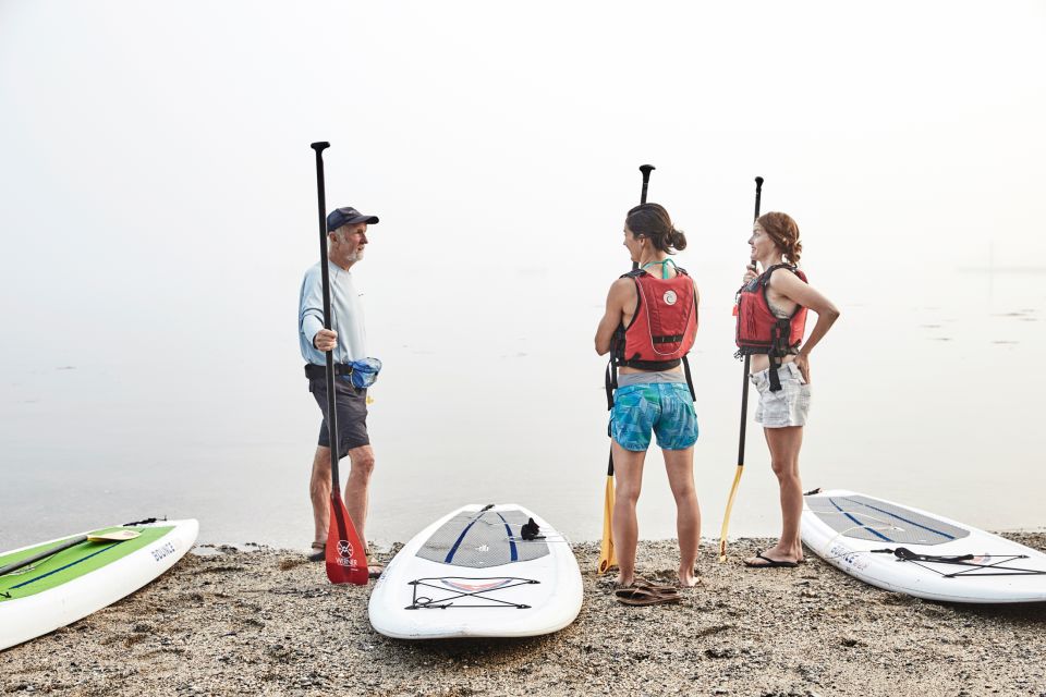 Portland, ME: Guided Harbor Paddleboard Tour - Explore Maines Coastal Beauty