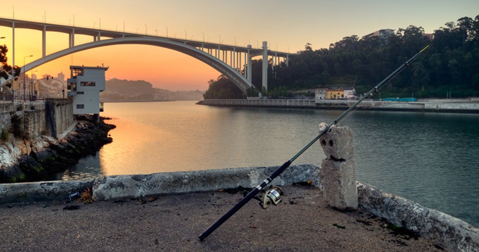 Porto: 3-Hour Bike Tour - Customer Experience