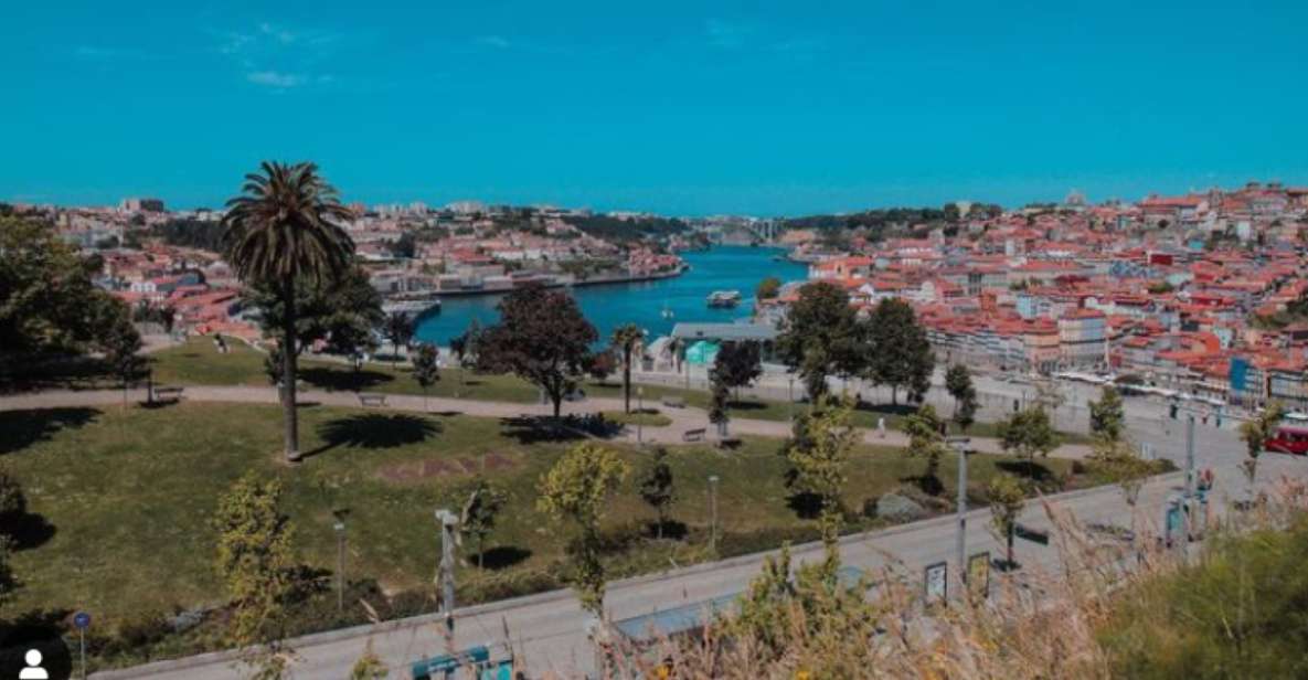 Porto: Monuments, Landmarks, and Cuisine Tour - Private Group Tour Experience