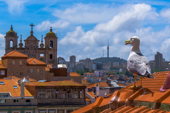 Porto Premium - Private Walking Tour - Accessibility Information