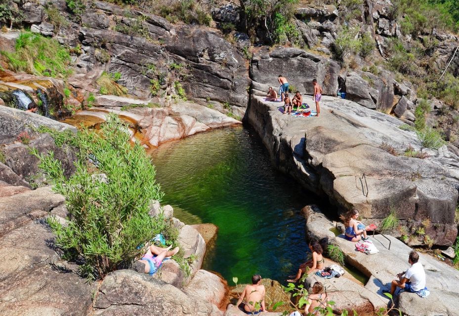 Porto: Private Geres National Park Tour - Fauna and Flora