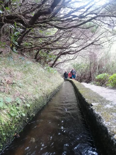 Private - 25 Fontes and Risco Waterfall Guided Tour - Refreshing Dip in 25 Fontes Lagoon