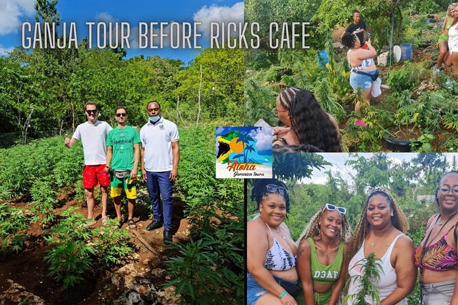 Private 3-5h Natural Herbs Tour, Shopping & Dinner at Ricks Cafe - Natural Herbs Exploration