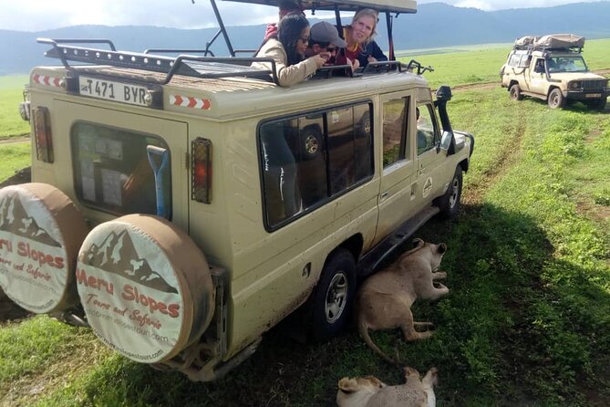 Private 4 Days Safari in Tarangire, Serengeti and Ngorongoro - Destination Highlights