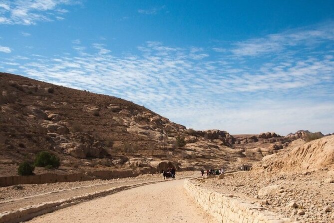 Private 5-Day Guided Tour of Jordan - Schedule and Accessibility