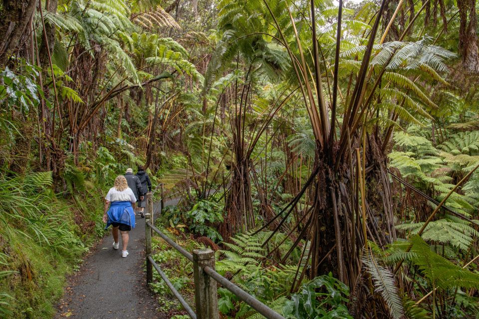 Private - All-Inclusive Volcanoes National Park Tour - Hawaii Volcanoes National Park