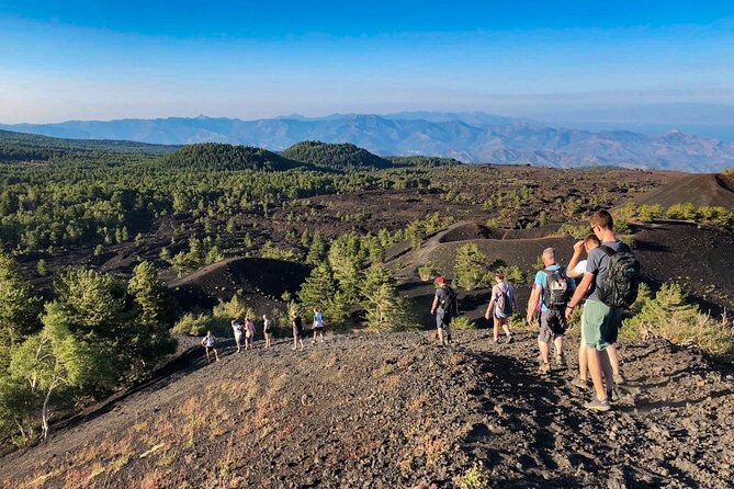 Private and Guided Tour on Etna With Wine Tasting Included - Pricing and Guarantees