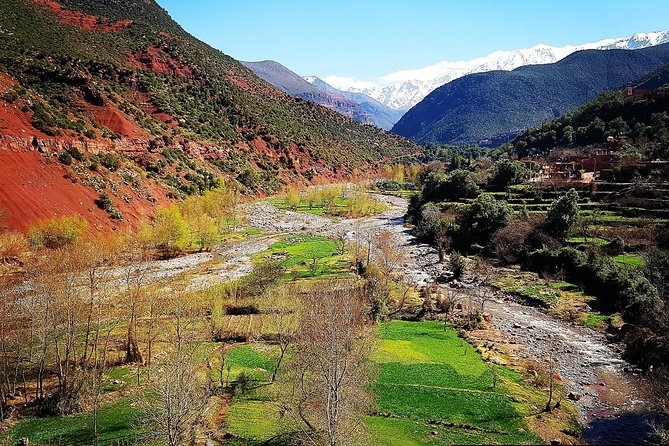 Private Atlas Mountains and 5 Valleys Tour From Marrakech - All Inclusive - - Traditional Berber Lunch Experience