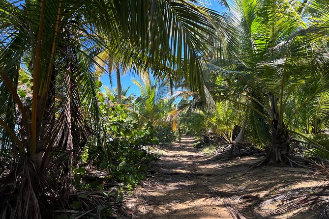 Private ATV Punta Cana – Atlantic Coastline Ride & LaVacama Beach - Filming and Conduct