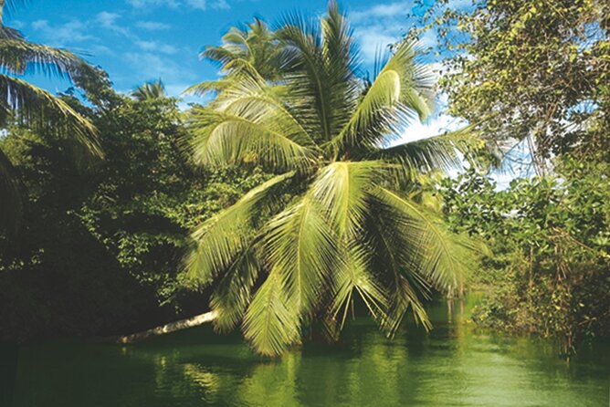 Private Boat Trip With Guide on the Most Beautiful Lagoon of Guadeloupe - Beverages and Refreshments