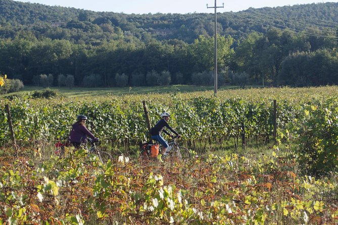 PRIVATE Civita Di Bagnoregio and Orvieto Wine Tasting -Ebike Tour - Meeting and Ending Point