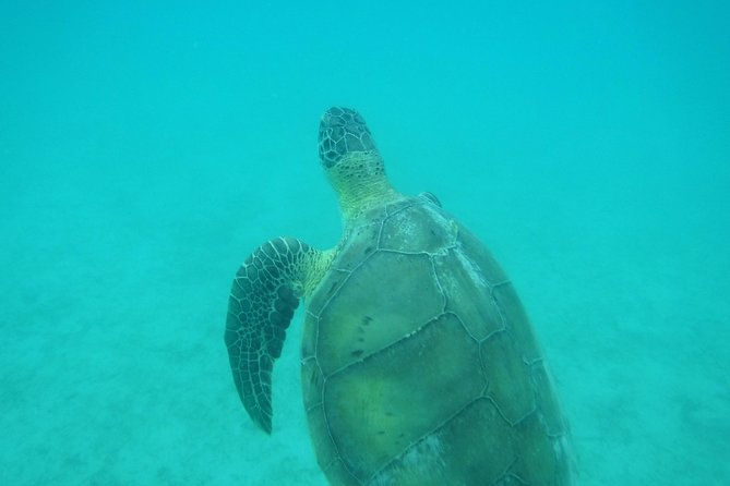 Private Day Sail & Snorkel With Virgin Islands Day Sailing, 6 Guest Max - Safety and Medical Considerations