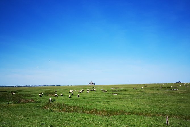 Private Day Tour of Mont Saint-Michel From Caen - Exploring the 8th-Century Abbey