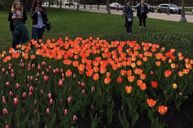 Private Day Tour OTTAWA Tulip Festival May 10-20 From MONTREAL - Reviews