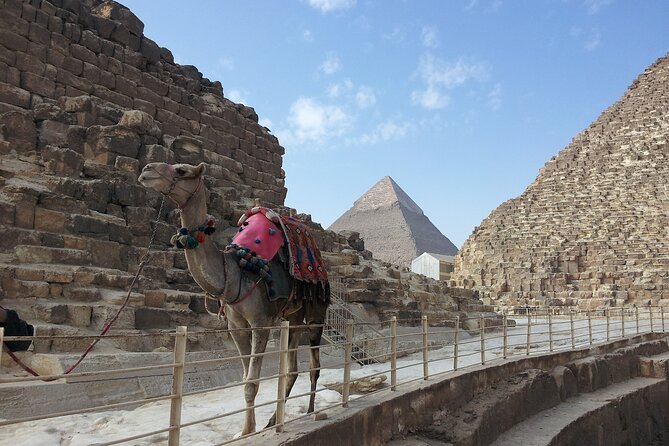 Private Day Tour to Giza Pyramids & Sphinx , With Camel Ride - Booking and Cancellation