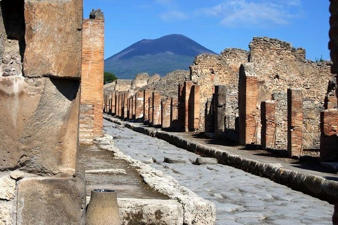 Private Day Tour to Pompei ,Winery, Sorrento From Napoli/Salerno/Amalfi/Positano - Accessibility