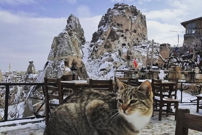 Private Day Trip to Cappadocia From Istanbul - Transportation and Guides