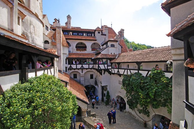 Private Day Trip to Draculas Castle From Bucharest - Historic Brasov Discovery