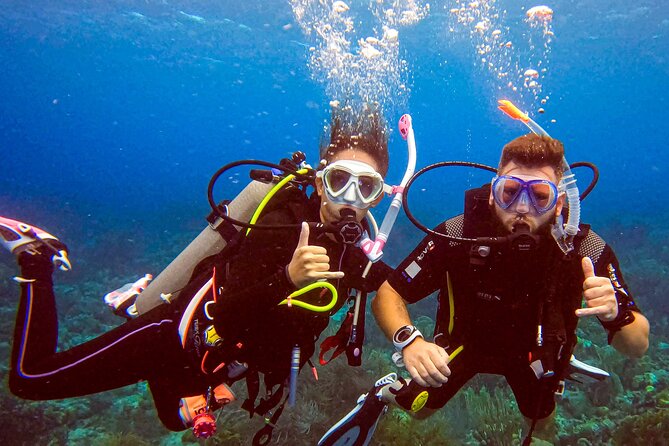 Private Discover Scuba Dive Experience in Curaçao - Transportation Options