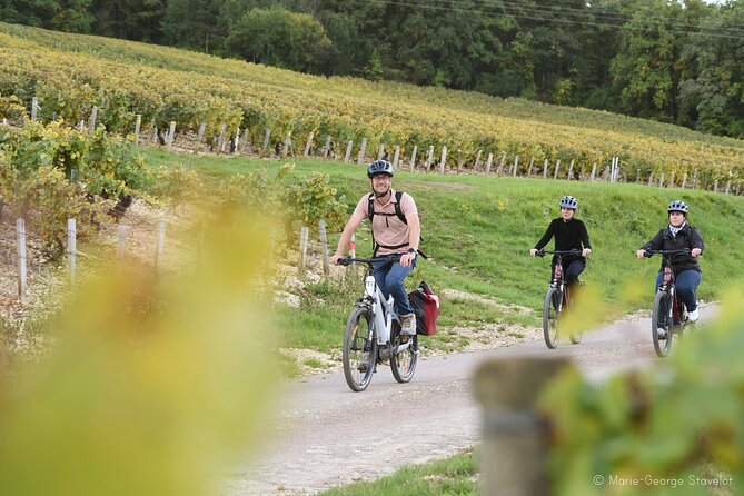 Private E-Bike Tour With a Guide in the Vineyards of Chablis - Accessibility and Restrictions