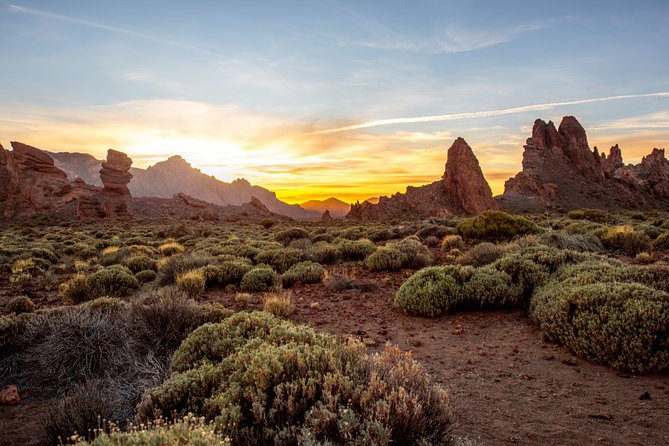 Private Excursion to Teide National Park - Private Tour Participation