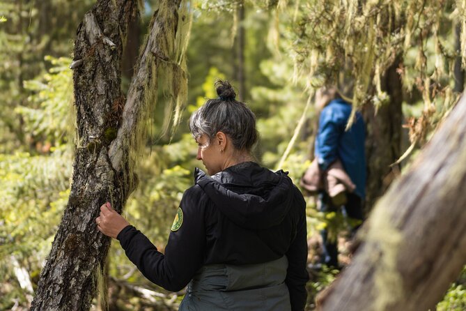 Private Forest Bathing in Serene Whistler Forests - Guest Reviews and Testimonials