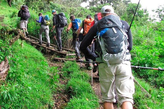 Private Full Day Hiking Experience to Marangu Route - Confirmation and Cancellation Policy