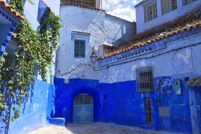 Private Full Day Trip to Chefchaouen From Casablanca With Lunch - Customer Feedback